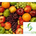 Hangsen E-Liquid 10 ml VG - Fruit mix ( fruit's flavour )