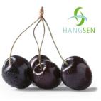 Hangsen E-Liquid 10 ml VG -  black cherry