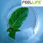 Feellife E-Juice 10ml VG/PG Mix Ice Mint flavour