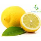 Hangsen E-Liquid 10 ml VG - Lemon