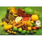 Vapo E-Liquid 10ml VG - tropical fruits