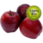 Vapo Bio E-Liquid 10ml Apple ( organic 100% natural )