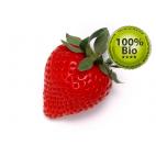 Vapo Bio E-Liquid 10ml Strawberry ( organic 100% natural )