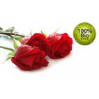 Vapo Bio E-Liquid 10ml rose (økologisk 100% naturlige)