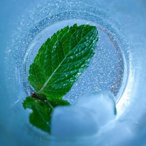 Ice Mint e-solid