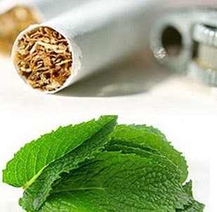 Virgin menthol e-solid